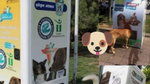 Macchine che nutrono i randagi in cambio di plastica riciclata