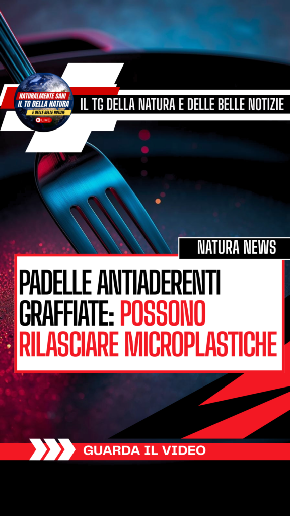 Padelle antiaderenti graffiate: possono rilasciare microplastiche