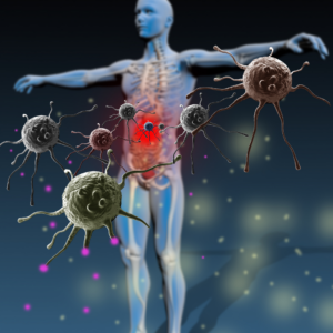Analisi BioEnergetica del Sistema Immunitario