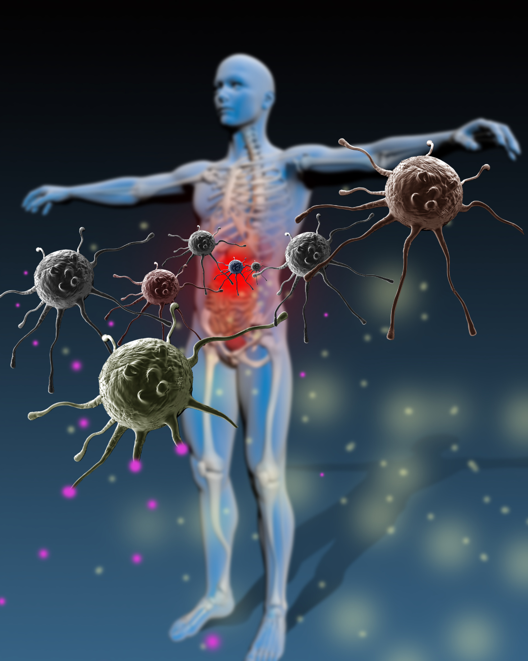 Analisi BioEnergetica del Sistema Immunitario