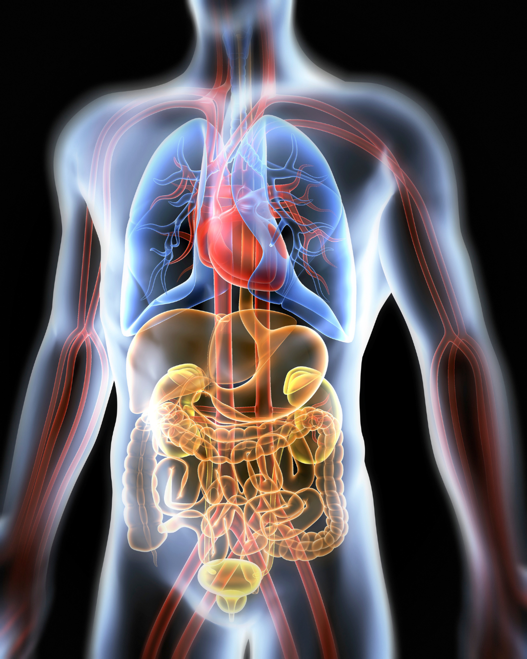 Analisi BioEnergetica del Metabolismo del Calcio