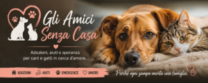Gli Amici Senza Casa: il gruppo Facebook dedicato all'adozione di cani e gatti