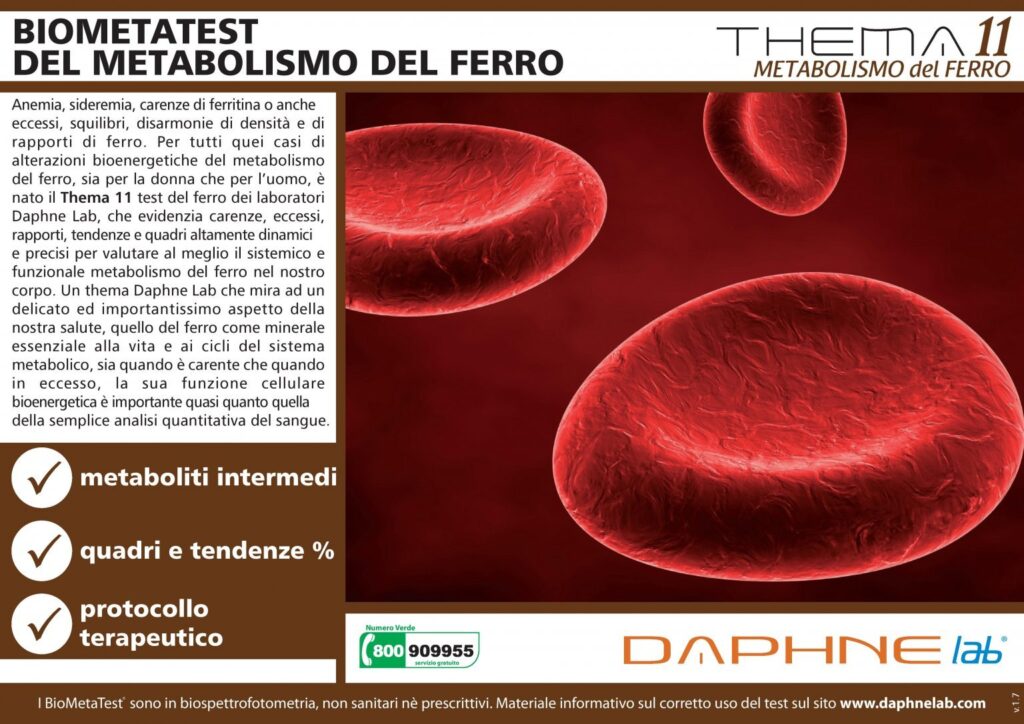 Test BioEnergetico del Metabolismo del Ferro