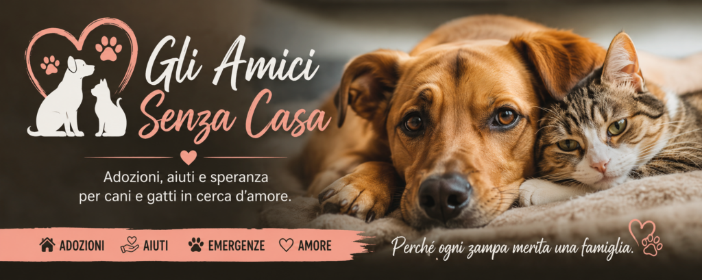 Gli amici senza casa: perchè ogni zampa merita una possibilità